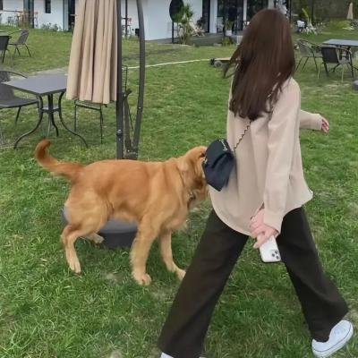 情缘心连心